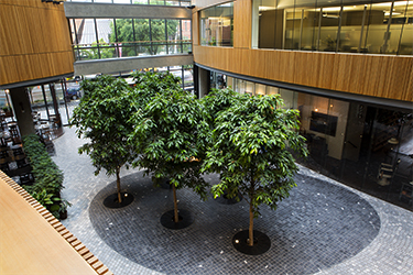 Atrium Building