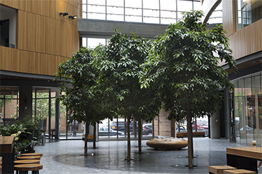 Atrium Building